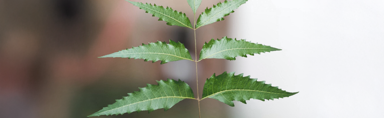 Postpartum & Women’s Wellness Therapies